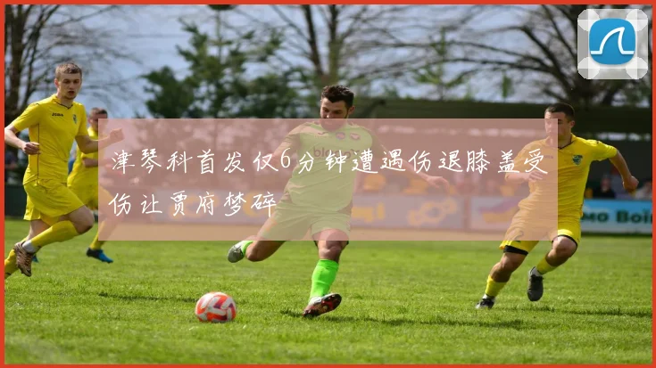 津琴科首发仅6分钟遭遇伤退膝盖受伤让贾府梦碎
