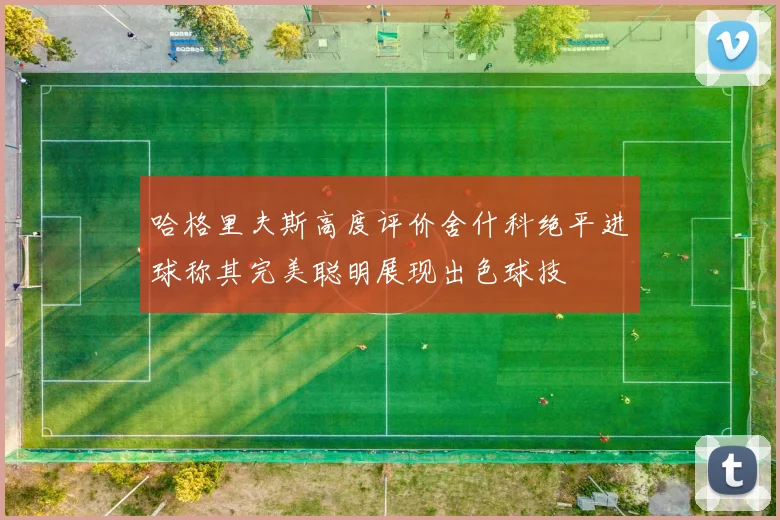 哈格里夫斯高度评价舍什科绝平进球称其完美聪明展现出色球技